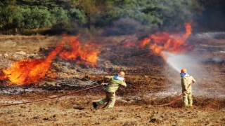 Muğlada bin 144 personelle orman yangını tatbikatı