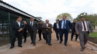 OEDAŞ, Can Dostlar için Afyonkarahisarda tedavi odası açtı