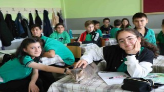 Öğrencilerin sıra arkadaşı ‘Duman isimli kedi