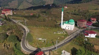 Ordu Büyükşehir, asfalt yol çalışmalarına devam ediyor