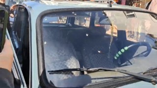 Orduda kahverengi kokarca sorunu