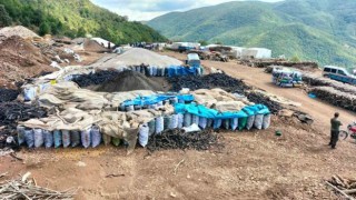 Tahrip olan ağaçlar ekonomiye kömür olarak kazandırılıyor