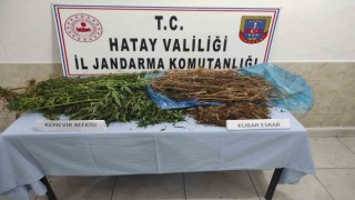 Ormanlık alanda uyuşturucu ele geçirildi