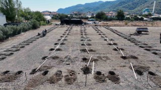 Ortaca Belediyesi bitki üretim tesisi kuruyor