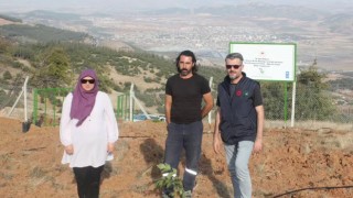 Osmaniye'de 3 çiftçiye 14 dekar ceviz bahçesi kuruldu