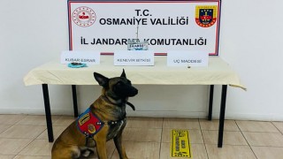 Osmaniye'de uyuşturucu operasyonu: 6 gözaltı