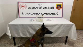 Osmaniye'de Uyuşturucu Operasyonu: 89 Kişi Yakalandı, 8 Tutuklandı