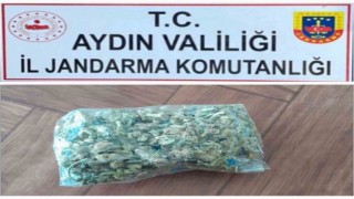 Otobüste seyahat ederken uyuşturucu madde ile yakalandılar