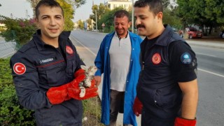 Otomobilin motor kısmına giren yavru kedi, 3 saatte çıkarılabildi