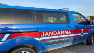 Palet hırsızlarını jandarma yakaladı