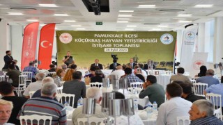 Pamukkalede küçükbaş yetiştiricilerinin sorunları ele alındı