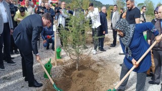 Patlamada şehit olan 43 madenci hatıra ormanında yaşatılacak