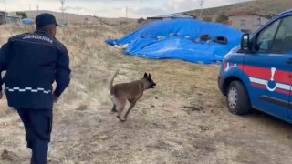 Saman yığınından uyuşturucu çıktı: Narkotik köpeği böyle buldu