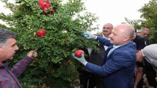 Samsatta nar hasadı başladı