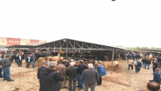 Sandıklı da hayvan pazarı yeni yerinde açıldı