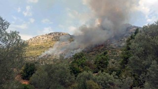 Seydikemer orman yangını söndürüldü