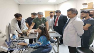 Siirtte 6 ayda 153 yaban hayvanı tedavi edilerek yaşam alanlarına bırakıldı