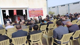 Siirtte çiftçilere mercimek tohumu desteği