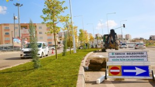 Şırnak belediyesi yeşillendirme çalışmaları başlattı
