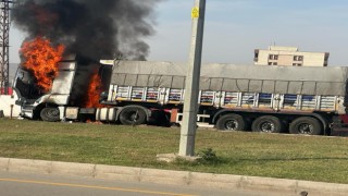 Şırnakta freni boşalan kömür yüklü kamyon bariyerlere çarparak yandı