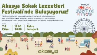 Sokak Lezzetleri Festivaline geri sayım başladı