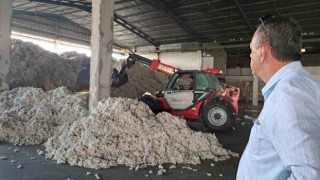 Söke TARİŞin iki deposuna 3 milyon kilogram pamuk girişi oldu