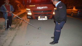 Su kuyusunda mahsur kalan kediyi itfaiye ekipleri kurtardı