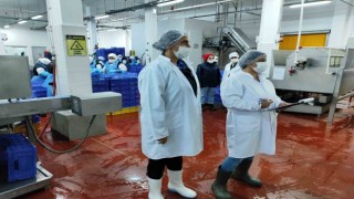 Su Ürünleri denetimleri sürüyor