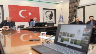 Talas Millet Bahçesi Karbon Yutak Alanı Olacak