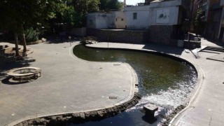 Tarihi Anzele havuzunda yüzme sezonu kapandı