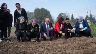 Tarım akademisinde hasat zamanı