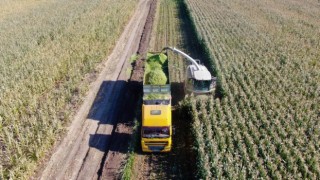 Tarım-ÜFE yıllık yüzde 71,96 arttı