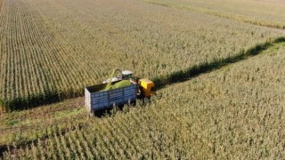 Tarım-ÜFE yıllık yüzde 71,96 arttı