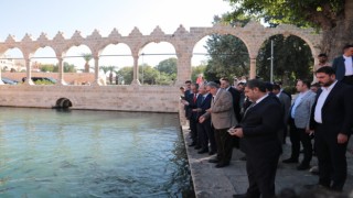 TBMM Başkanvekili Bozdağ balıklara yem attı