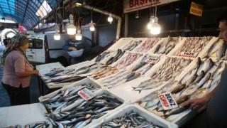 Tezgahlar balıkla doldu taştı, fiyatlar en alt seviyeye düştü