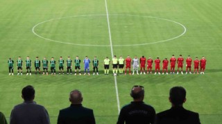 TFF 2. Lig: Denizlispor: 1 - 24Erzincanspor: 1