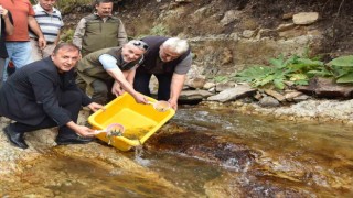 Trabzonda 5 bin kırmızı benekli doğal alabalık yavrusu bırakıldı