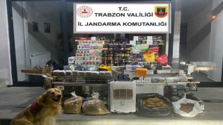 Trabzonda jandarma ve polisten ortak operasyon
