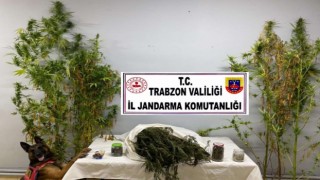 Trabzonda uyuşturucu operasyon: 3 gözaltı