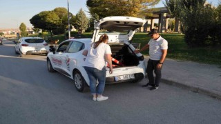 Trafik kurallarını ihlal eden sürücüler yeni sürücü adaylarına zor anlar yaşatıyor