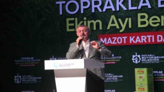 Türkiyede bir ilk: Ayçiçeği yağı bu özütle daha sağlıklı olacak