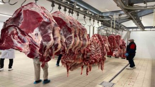 Türkiyenin 81 ilinde gıda denetimleri eş zamanlı başladı
