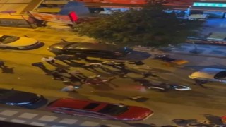 Ümraniyede meydan muharebesi gibi kavga