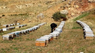 Van Arıcılar Birliği Yönetim Kurulu Üyesi Tandoğan: Van balı, kesinlikle hak ettiği yerde değildir