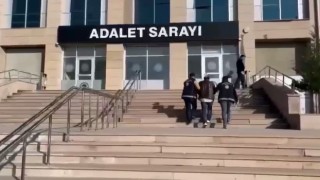 Vanda 6 organizatör tutuklandı