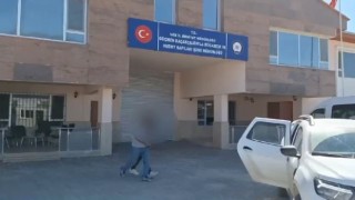 Vanda 9 organizatör yakalandı