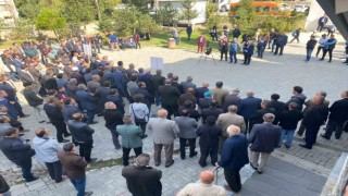 Vanda Filistine destek, İsraile tepki