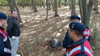 Vatandaş çocuk cesedi sandı, bakın ne çıktı