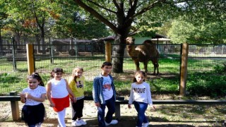 Yalova Belediyesinden hayvanat bahçesi gezisi