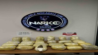 Yalovada 14 kilo 600 gram skunk ele geçirildi